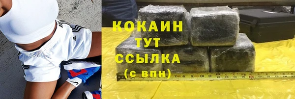PSILOCYBIN Гусиноозёрск
