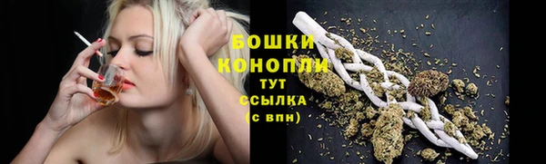 Альфа ПВП Гусь-Хрустальный