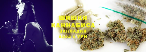 PSILOCYBIN Гусиноозёрск