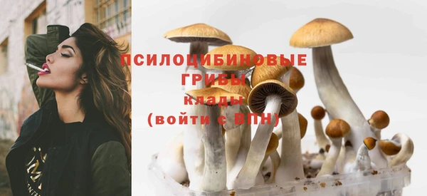 круглые Гусев