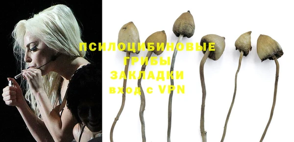 PSILOCYBIN Гусиноозёрск