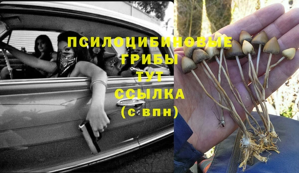 герыч Дмитриев