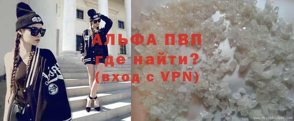 круглые Гусев